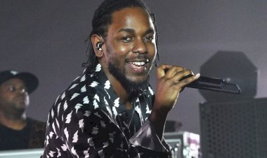 Kendrick Lamar Net Worth 2025 | Music, Tours, pgLang Income