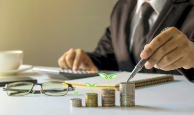 Top Venture Capital Startups to Watch in 2025 [+ Trends, Funding & Insights]