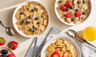 Top 10 Cereal Food Dispensers for Easy Breakfasts in 2025
