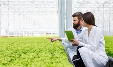 How to Implement Smart Farm Solutions in the UK: A 2025 Guide for Modern Farmers