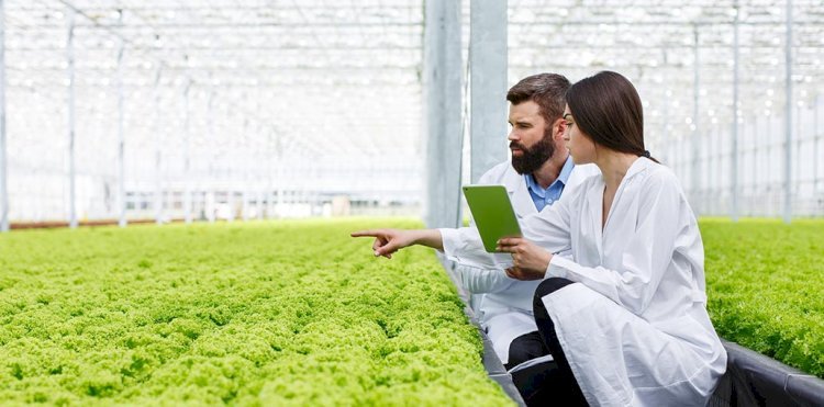 How to Implement Smart Farm Solutions in the UK: A 2025 Guide for Modern Farmers