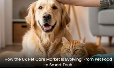 How the UK Pet Care Market Is Evolving: From Pet Food to Smart Tech