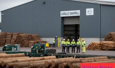 BSW Timber Carlisle: 57 Jobs at Risk in Sawmill Overhaul