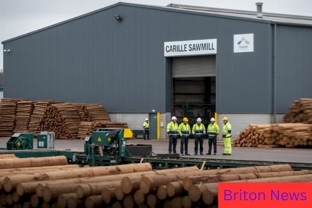 BSW Timber Carlisle: 57 Jobs at Risk in Sawmill Overhaul