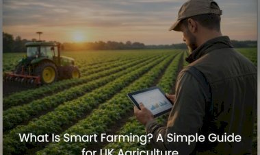What Is Smart Farming? A Simple Guide for UK Agriculture