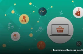 Ecommerce business intelligence dashboard showing sales and analytics data
