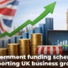 Government Growth Funding UK grants and schemes for businesses