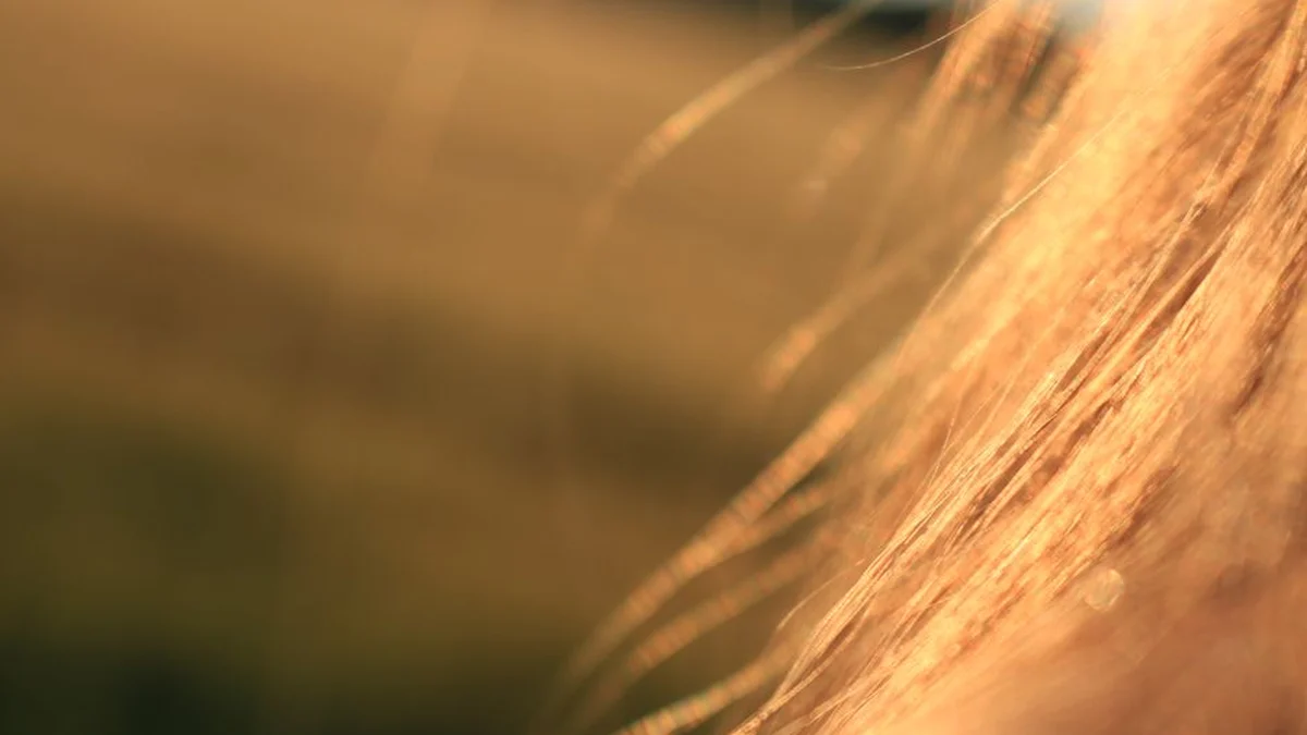 sunlight catching smooth blonde hair