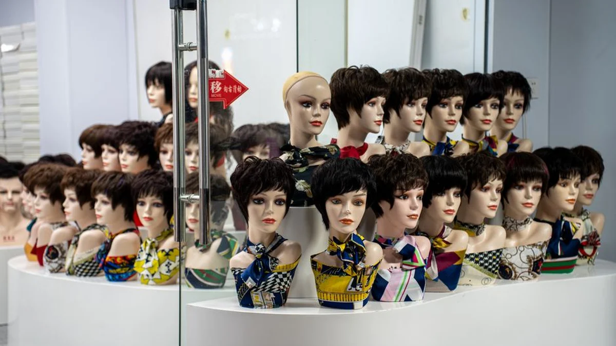 human hair vs synthetic wigs — Cost, Styling and Lifespan