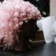 wig care 0 80x80